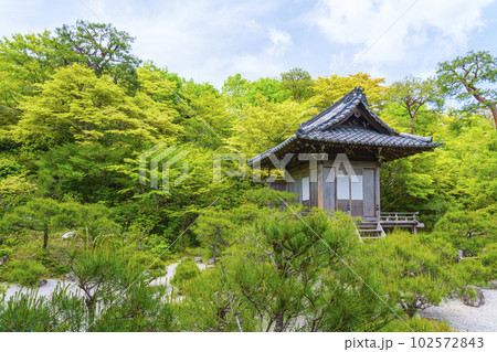 大河内山荘庭園　持仏堂　新緑の季節（京都市右京区嵯峨） 102572843