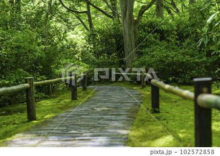 大河内山荘庭園　風情のある苔庭　新緑の季節（京都市右京区嵯峨） 102572858