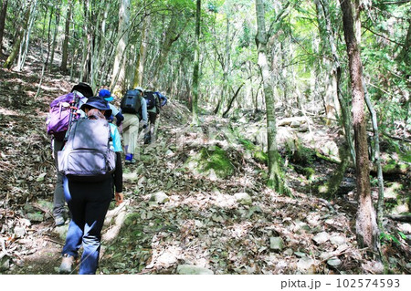 登山 102574593