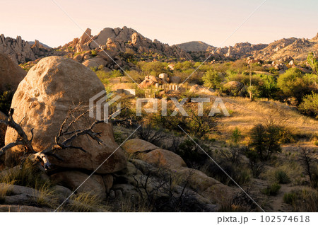 Texas Canyon Sonora Desert Arizona 102574618