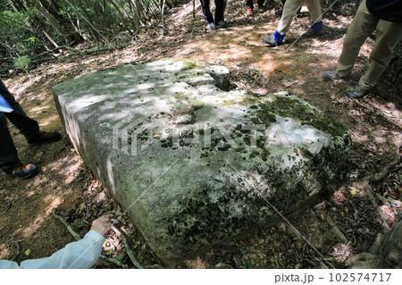 城山城 102574717