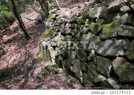城山城 102574721