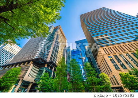 日本の東京都市景観 大手町側から新緑と夕日を浴びる丸の内のオフィスビル群などを望む 102575292