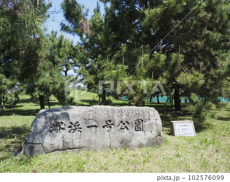 松林の堺浜一号公園 102576099