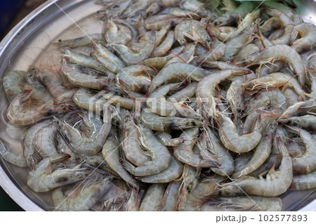 Chilled shrimp in stainless steel tray, sold at fresh market 102577893