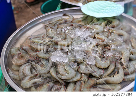 Frozen shrimp with ice cubes in a stainless steel tray Sell at the community market 102577894