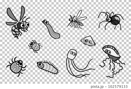 Set of dangerous creatures black and white 102579133