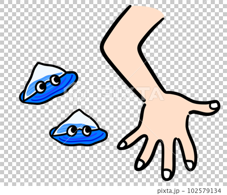 Bonito Crested Crows Attacking People Bonito Crested Crows Attacking People 102579134