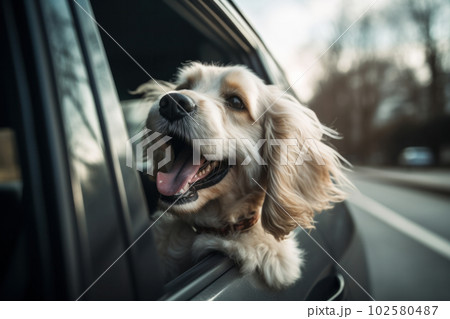 A dog's delight - enjoying the ride with head out the window, feeling the motion of the car and the joy of adventure. AI Generative. 102580487