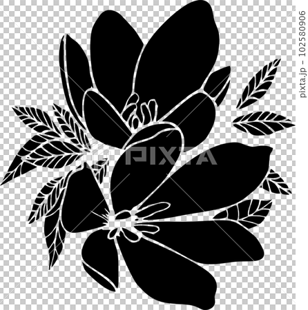 Magnolia Floral Graphic Design Elements (PNG)