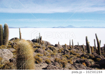 ボリビア　インカワシ島からウユニ塩湖を望む 102581284
