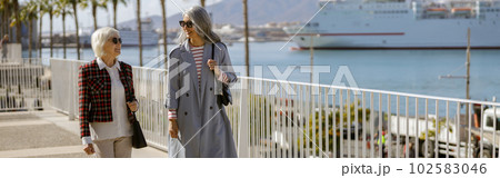 Happy female friends meeting outdoors by sea 102583046