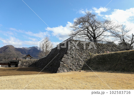 長野県　長野市　冬　松代城 102583716