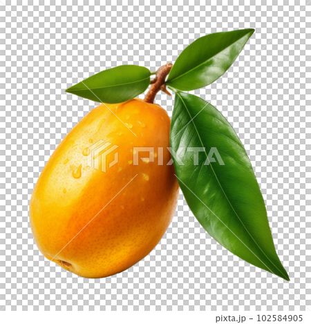 Mango fruit isolated. Illustration AI Generative Mango fruit isolated. Illustration AI Generative 102584905