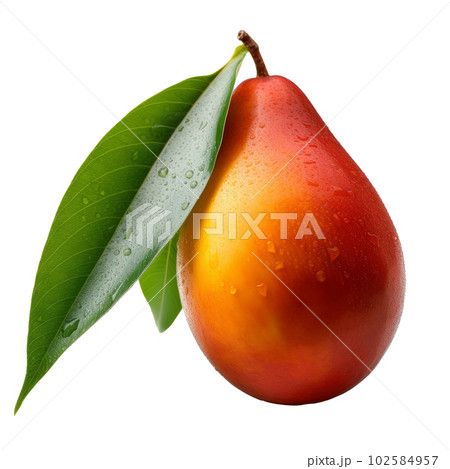 Mango fruit isolated. Illustration AI Generative 102584957