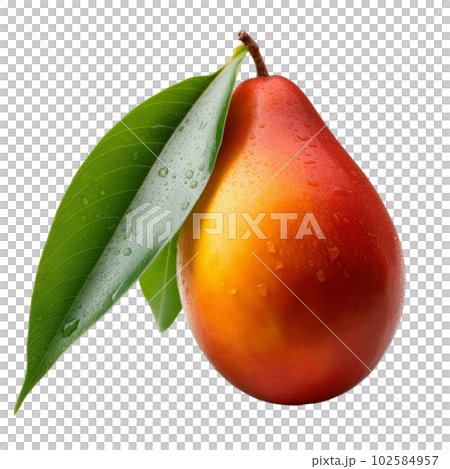Mango fruit isolated. Illustration AI Generative 102584957