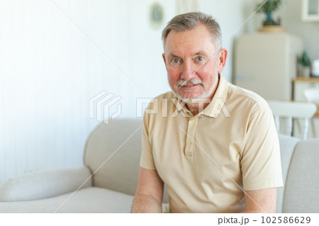 Confident stylish middle aged senior man at home. Older mature 70s man smiling. Happy attractive senior beard grandfather looking camera close up face headshot portrait. Happy people 102586629