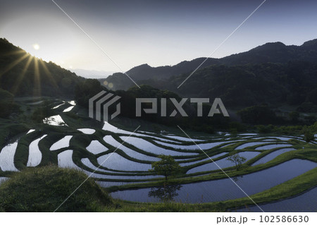千葉県大山千枚田の朝 千葉県大山千枚田の朝 102586630