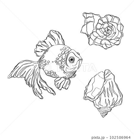 Hand drawn doodle fish, shell. Vector illustration. Hand drawn fish. Vector illustration. Sea collection. Vector of fish design on a white background. Easy editable layered vector illustration Hand drawn doodle fish, shell. Vector illustration. Hand drawn fish. Vector illustration. Sea collection. Vector of fish design on a white background. Easy editable layered vector illustration 102586964