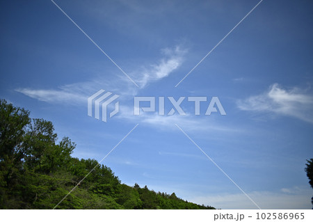 まだ五月なのにもう、夏空の雲 102586965