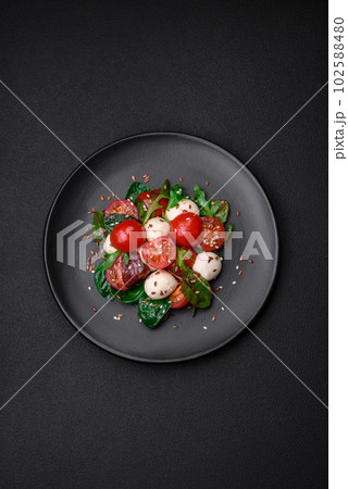 Delicious fresh salad with mozzarella cheese, cherry tomatoes, herbs, salt and spices 102588480
