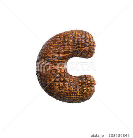 crocodile letter C - Lowercase 3d reptile font - Suitable for wildlife, ecology or conservation related subjects crocodile letter C - Lowercase 3d reptile font - Suitable for wildlife, ecology or conservation related subjects 102589842
