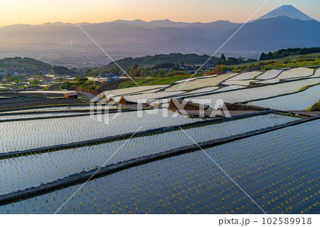 【初夏素材】夜明けの中野の棚田【山梨県】 【初夏素材】夜明けの中野の棚田【山梨県】 102589918