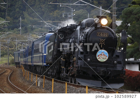 信越本線 SLぐんま・よこかわ(C61牽引:高崎⇔横川) 信越本線 SLぐんま・よこかわ(C61牽引:高崎⇔横川) 102589927