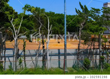 千葉県野田市キッコーマン工場周辺の風景2023年5月 102591198