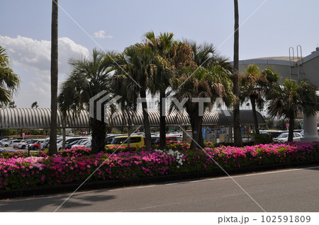 宮崎空港 宮崎空港 102591809