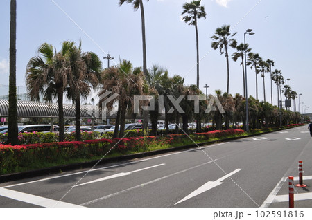 宮崎空港 宮崎空港 102591816