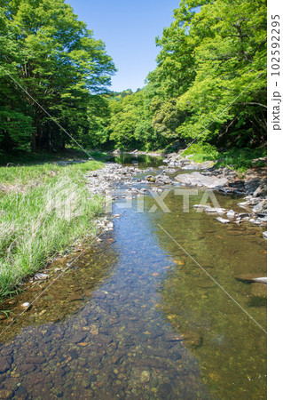 塩沢冠水橋からの眺め 槻川 新緑の風景 武蔵の小京都  塩沢冠水橋からの眺め 槻川 新緑の風景 武蔵の小京都  102592295