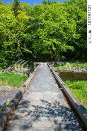 塩沢冠水橋　槻川　新緑の風景　武蔵の小京都　 102592329