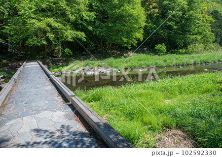 塩沢冠水橋　槻川　新緑の風景　武蔵の小京都　 102592330