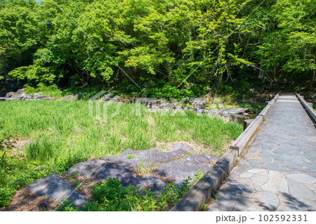 塩沢冠水橋　槻川　新緑の風景　武蔵の小京都　 102592331