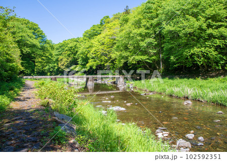 塩沢冠水橋 槻川 新緑の風景 武蔵の小京都 塩沢冠水橋 槻川 新緑の風景 武蔵の小京都 102592351