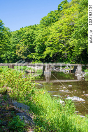 塩沢冠水橋　槻川　新緑の風景　武蔵の小京都　 102592354