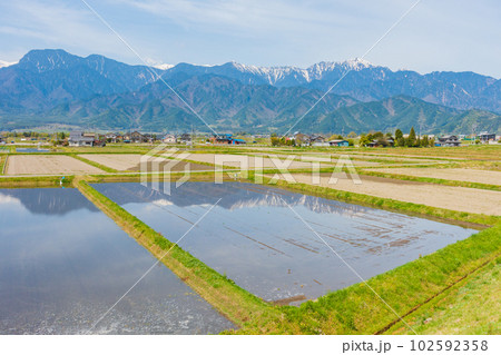 水田に水入れの始まった安曇野【北安曇郡池田町】 102592358