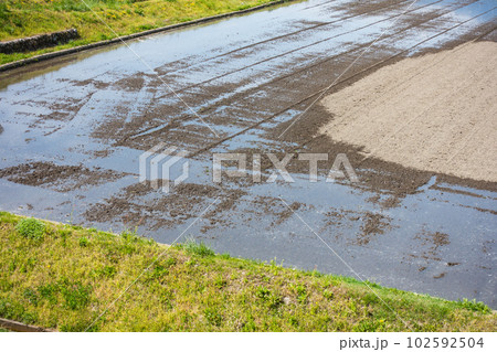 水田に水入れが始まる【安曇野】 水田に水入れが始まる【安曇野】 102592504