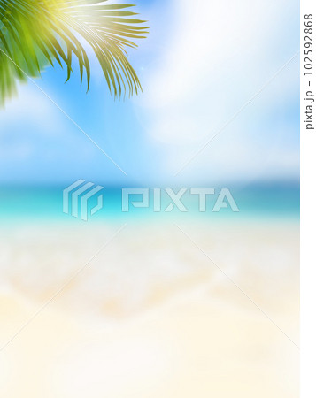 夏の海をイメージした背景 102592868