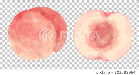 Peach illustration in hand drawn watercolor style Peach illustration in hand drawn watercolor style 102592964