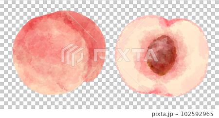 Peach illustration in hand drawn watercolor style Peach illustration in hand drawn watercolor style 102592965