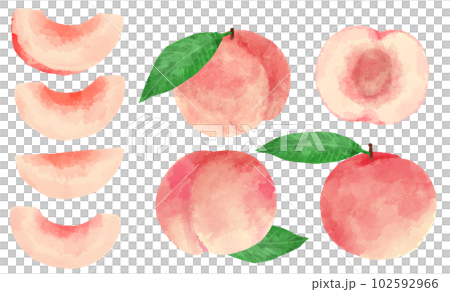 手繪水彩桃插圖集 手繪水彩桃插圖集 102592966