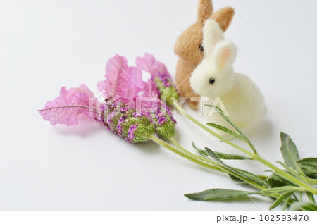 フレンチラベンダーの花とフェルトのうさぎ フレンチラベンダーの花とフェルトのうさぎ 102593470