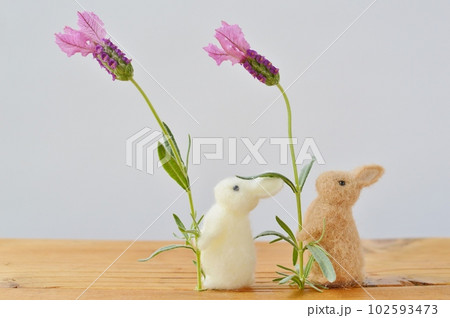 フレンチラベンダーの花を持つフェルトのうさぎ　 102593473
