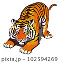 トラ　ベクターイラスト 102594269