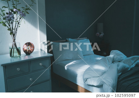 The bedroom. The bedroom. 102595097