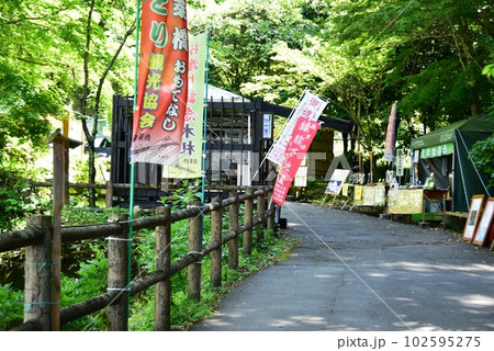 島田市　蓬莱橋南岸の散策路とショップと新緑 102595275