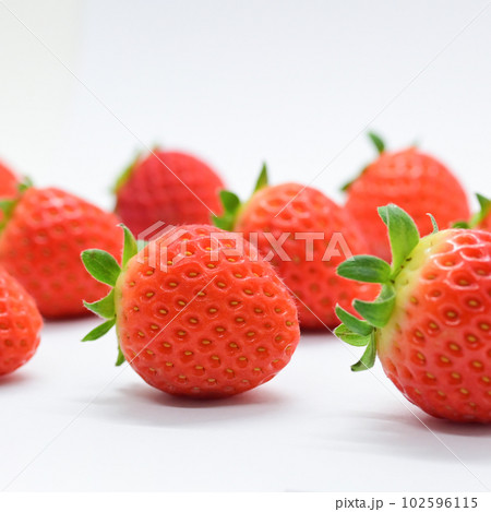 beautiful fresh red strawberry isolated on white background beautiful fresh red strawberry isolated on white background 102596115