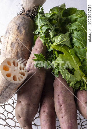 さつまいも 102596756